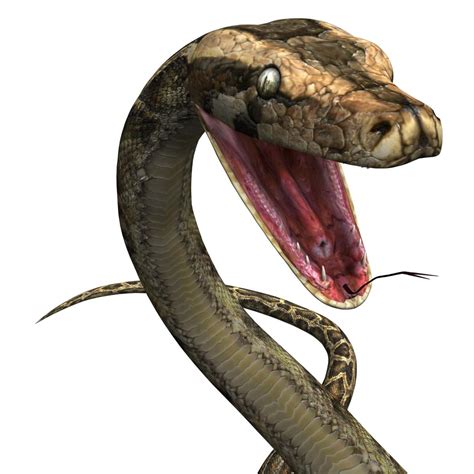 3ds max reptile snake python