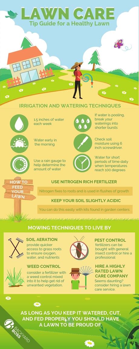 Lawn Care Tips: Year Round Maintenance for a Healthy Lawn - Backyard Boss