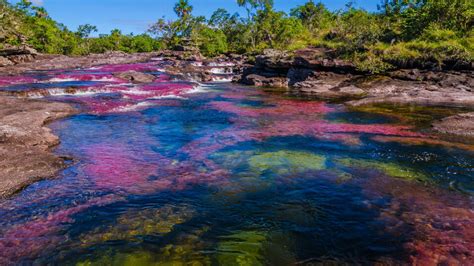 Detenerse intimidad perecer el rio de los colores colombia Dispersión ...