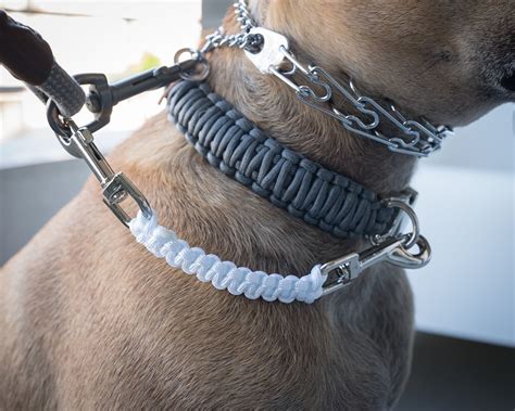 Dog Collar Safety Leash Prong Collar Back up Strap Clip - Etsy