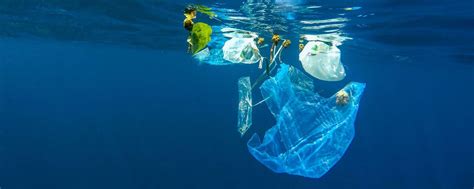 Marine litter: the issue | UNEP - UN Environment Programme