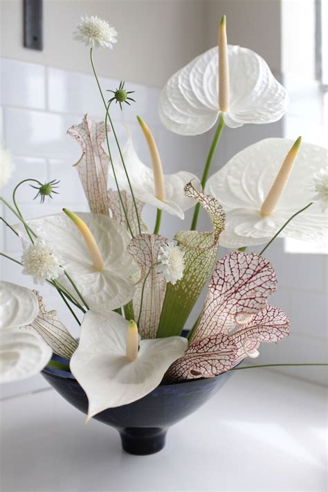 Anthuriums: Rethinking a Hotel Lobby Flower - Gardenista | Flower ...