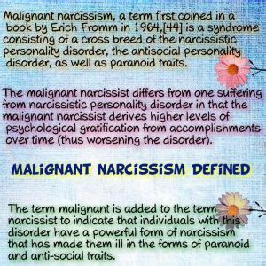 So what the hell IS malignant narcissism anyway? | Lucky Otters Haven