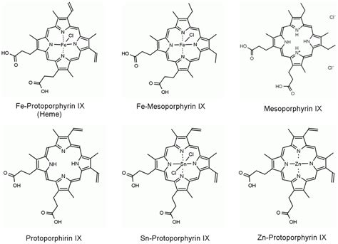 Molecular structure of the different porphyrins utilised in this study ...