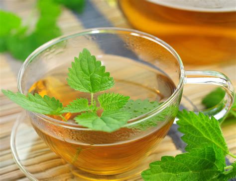 Nettle Tea - Detox Your Body Through Tonifying Its Organs and Systems | Top Natural Remedies