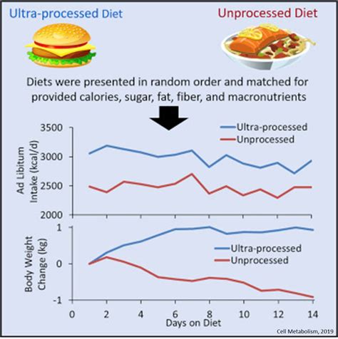 Heavily processed foods cause overeating and weight gain – Science Mission