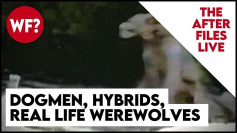 After Files Live: Dogmen, Hybrids, Werewolves - YouTube