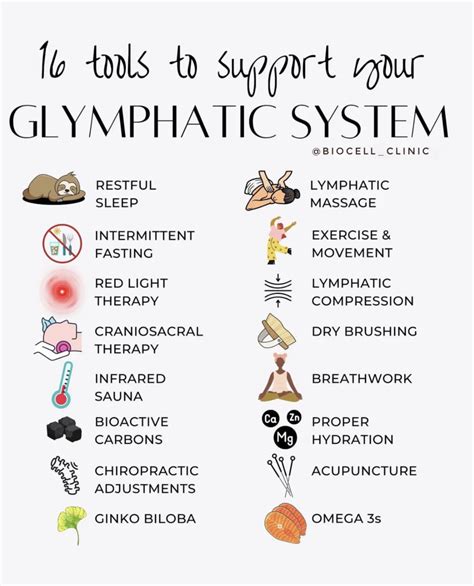 Glymphatic System - Brain Cleansing System | BioCell Clinic