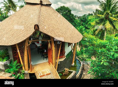 Wooden bamboo house in tropical rainforest jungle Stock Photo - Alamy