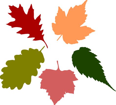 FREE SVG File – Autumn Fall Leaves | Miss Vickie's CuttingCrazy Blog - ClipArt Best - ClipArt Best