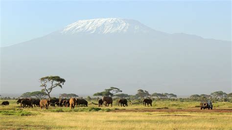 Kilimanjaro Safari wallpaper | travel and world | Wallpaper Better