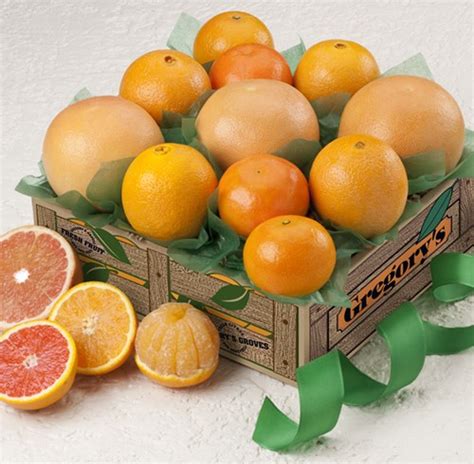 Sun-Kissed Four, Citrus Fruits: Gregory's Groves