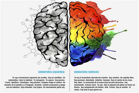 Los hemisferios cerebrales y la Comunicación No Verbal