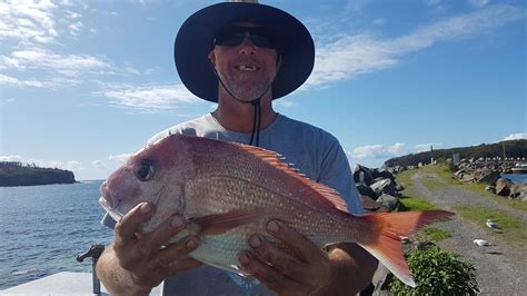 Boys 7 night trip to ulladulla - Fishing Reports - DECKEE Community