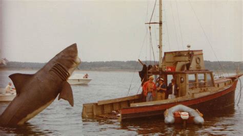 The Bizarre Tale of the Orca II, the Stunt Boat from Jaws | Mental Floss