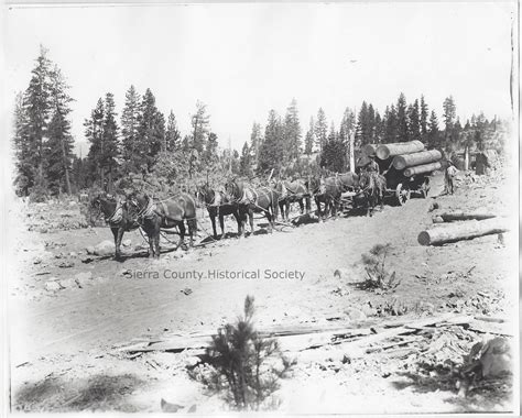 Sierra County California Historical Society