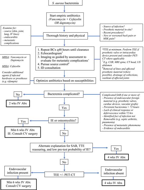 The Golden Grapes of Wrath – Staphylococcus aureus Bacteremia: A Clinical Review - The American ...