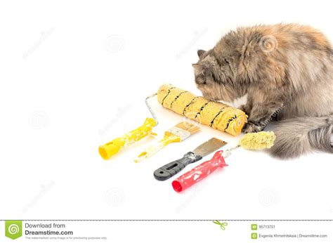 A roller and paint tank stock image. Image of repairing - 95713751