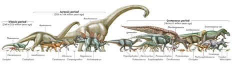 Dinosaur, Extinct animals, Stegosaurus