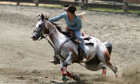 Cody Wyoming Night Rodeo - AllTrips