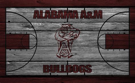 Alabama A M Bulldogs Photograph by Joe Hamilton - Fine Art America