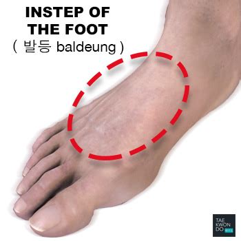 Instep of the Foot ( 발등 baldeung ) | Impact Surface Area | Taekwondo ...