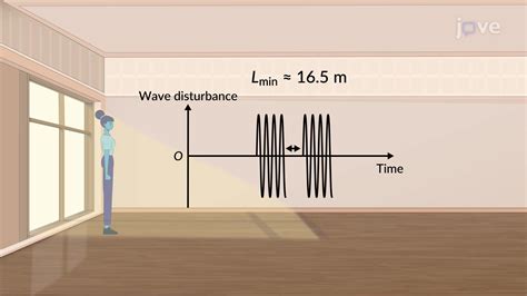 Echo - Concept | Physics | JoVe