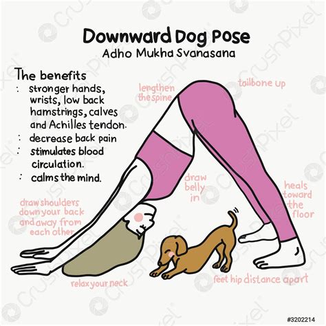 Downward Dog yoga pose and benefits cartoon vector illustration - stock vector 3202214 | Crushpixel