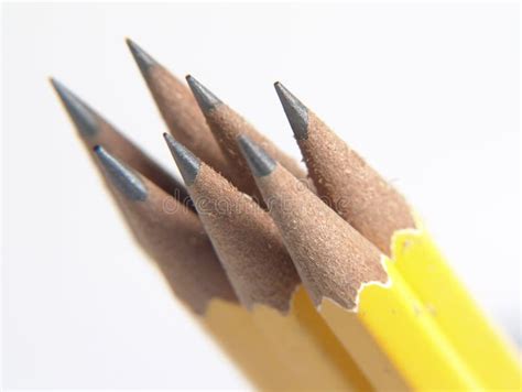 Sharpened Pencils stock image. Image of write, school, pencils - 7969