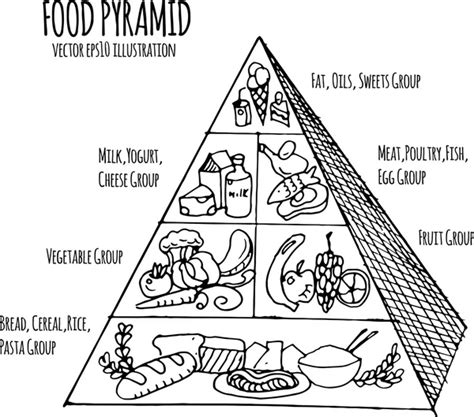 Hand drawn infographic illustration of food pyramid - Stock Image - Everypixel