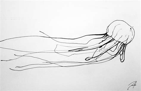 Box Jellyfish sketch | Jellyfish drawing, Jellyfish tattoo, Jellyfish painting