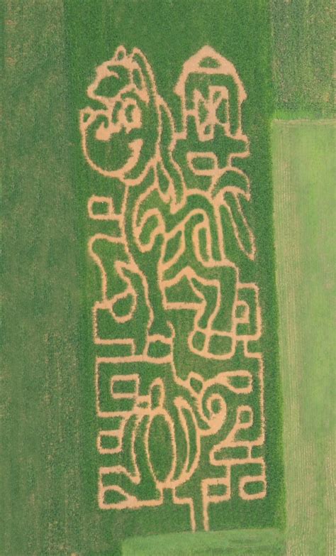 Kids Corn Maze - Wilcox Farms