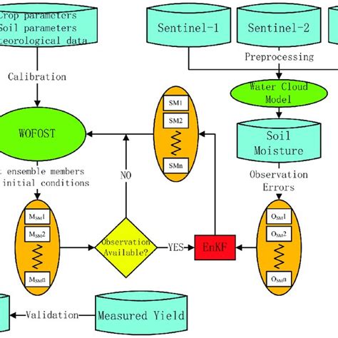 Flowchart for the winter wheat yield estimation using the EnKF-based... | Download Scientific ...