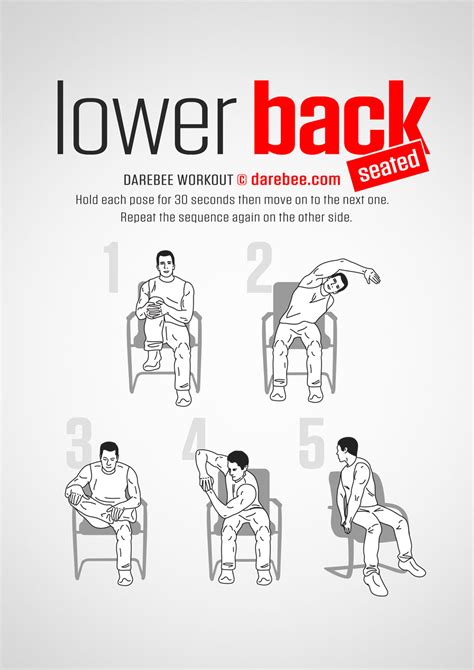 Lower Back Seated Workout