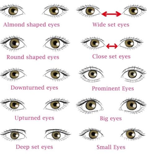 Different Types of Eye Shapes: Which One you have? | Types of eye ...