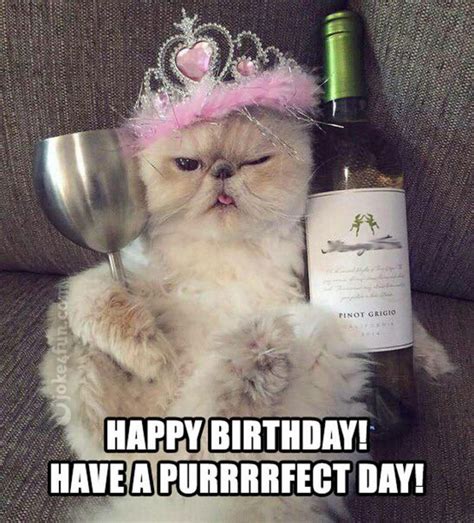 funny happy birthday cat meme – Happy Birthday Memes