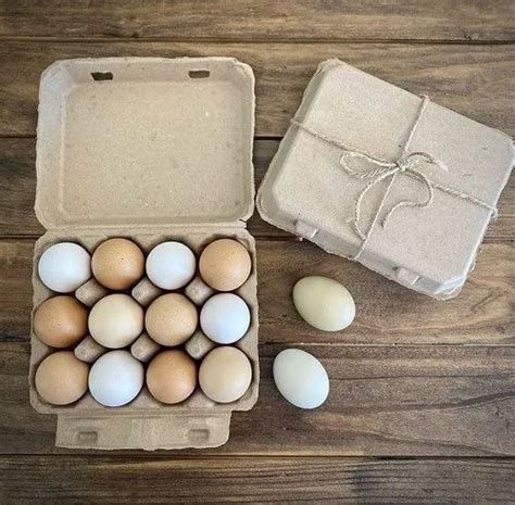 Paper Pulp 12 Pieces Vintage Egg Carton at Rs 8.50/piece in Gandhinagar ...