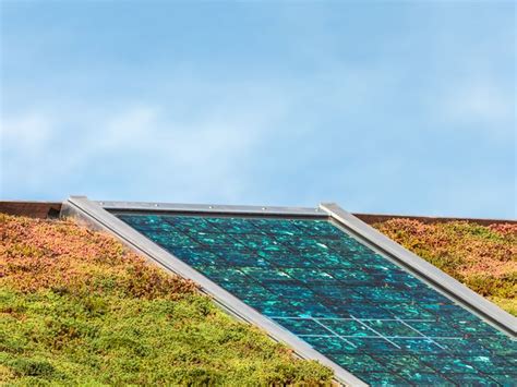 ODU Green Roof • Solar green roof