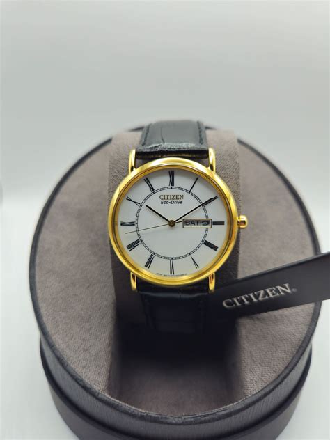 Citizen Eco-Drive Leather Watch | Solent Timepieces