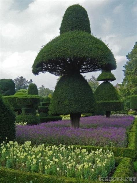 Topiary Art | Art