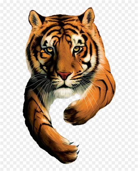 Tiger Brands Logo - Tiger Brands, HD Png Download - 2272x1704(#4217472) - PngFind