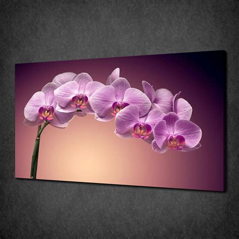 ORCHID CANVAS PRINT PICTURE