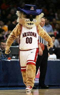 University of Arizona mascot