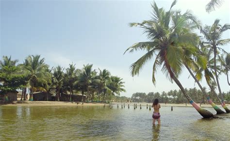 a woman standing in the water next to palm trees and other people on ...