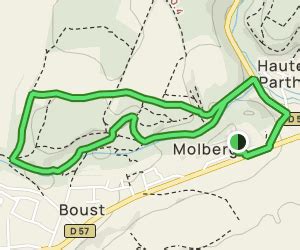 Forêt de Boust: 40 Reviews, Map - Moselle, France | AllTrails