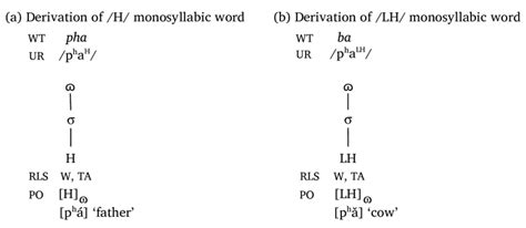 3: Derivation of monosyllabic words. | Download Scientific Diagram