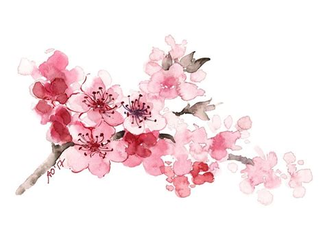 Cherry Blossom Watercolor at GetDrawings | Free download