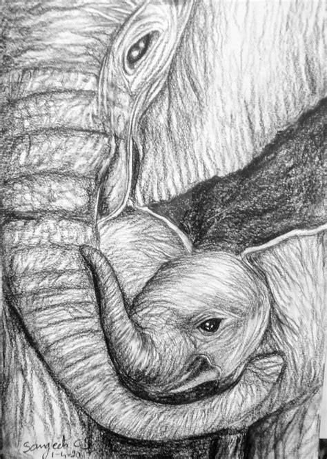 Elephant - mother and baby - pencil sketch by Sangeeta1995 on DeviantArt