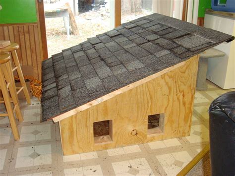 I made an insulated wooden house for feral cats (album in comments). : cats