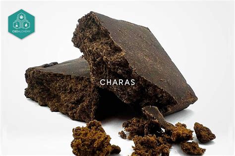 Understanding the Effects of Hashish: What You Need to Know | CBD Alchemy